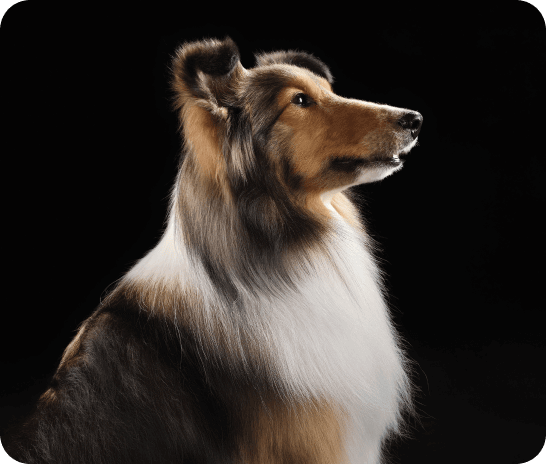 Real-time suggestions when you need it