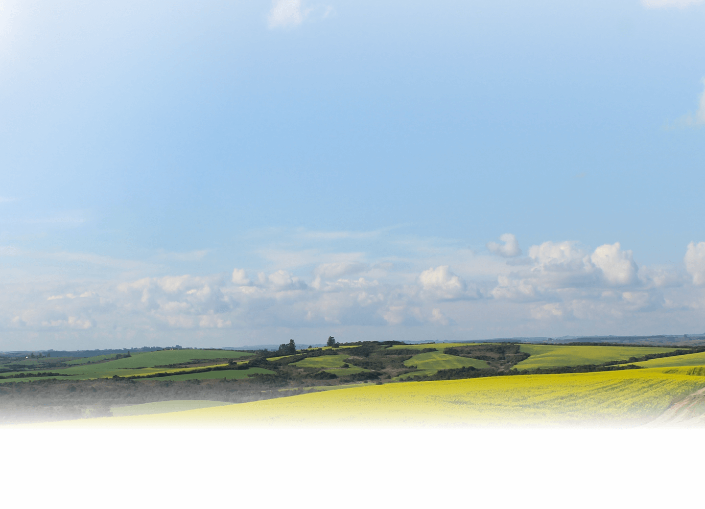 large open field