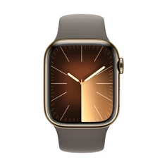 Apple Watch Series 9 Stainless Steel Case